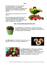 Obst-1-2.pdf